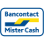 bancontact-mistercash-icon